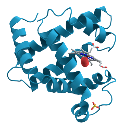 Outline of biochemistry